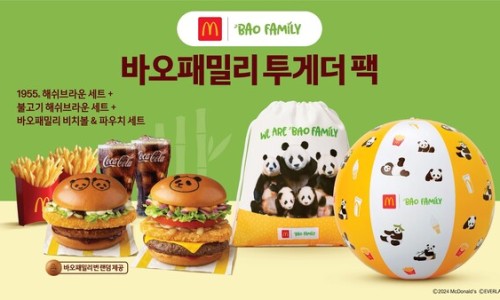바오아이 이미지
