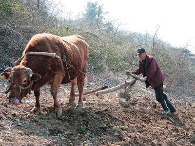 산수장여관 이미지