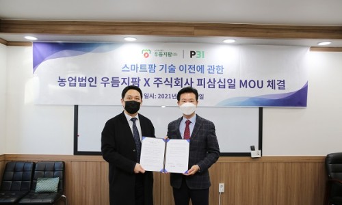 피삼십일 이미지