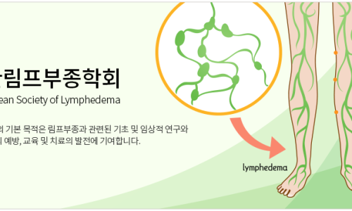 대한림프부종학회 이미지