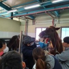 한국말산업고등학교 이미지