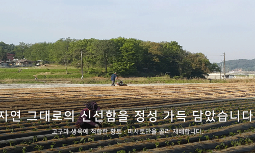 (주)농업회사법인 거산 이미지
