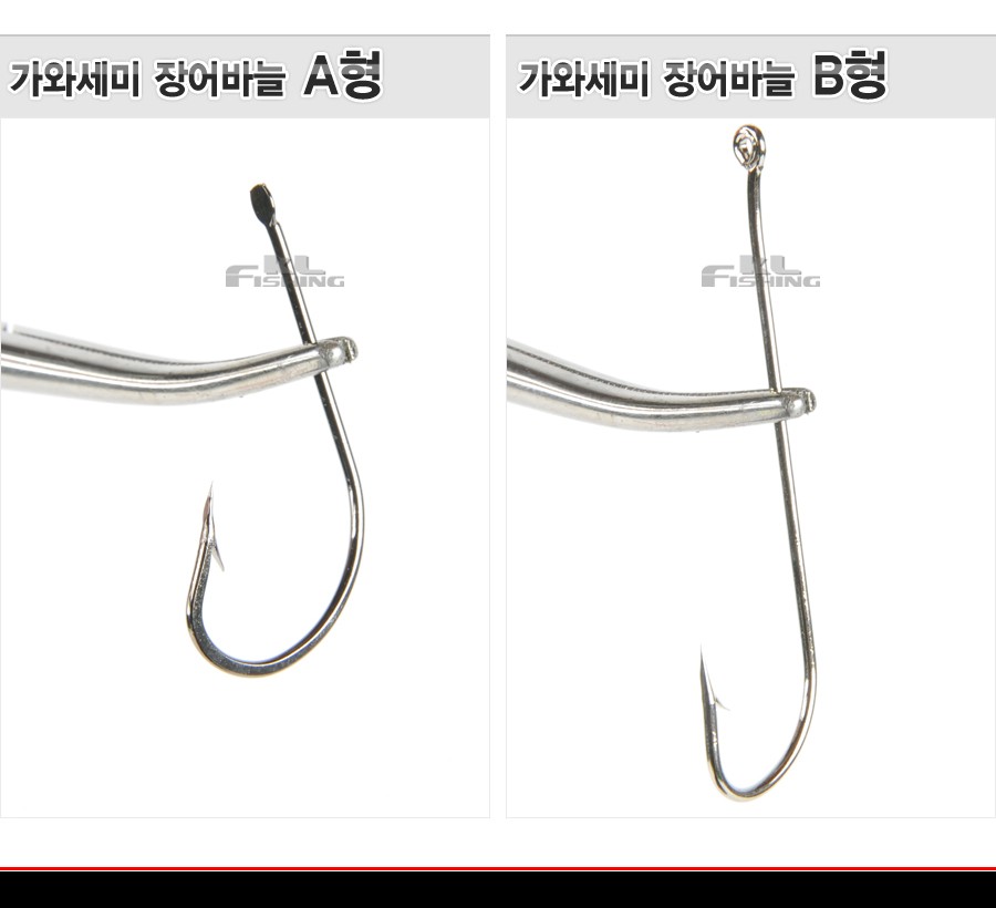 세미장어 이미지