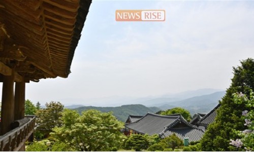 법률사무소두남 이미지