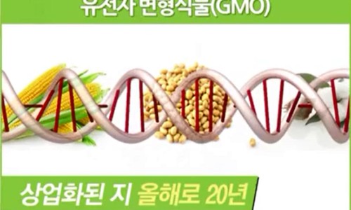 옥자푸드 이미지