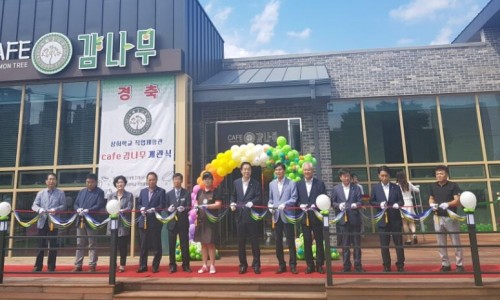 상희학교 카페 감나무 이미지