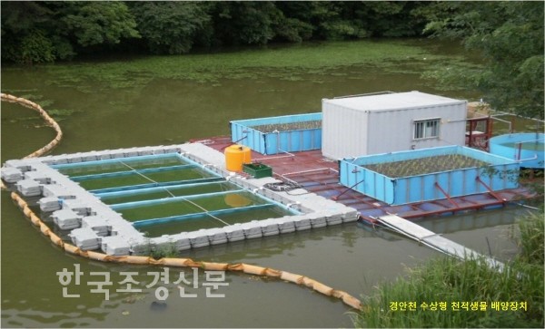 수생태복원(주) 이미지