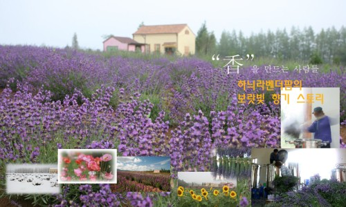 (주)라벤다 이미지