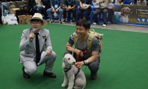 한국반려동물교육원 이미지
