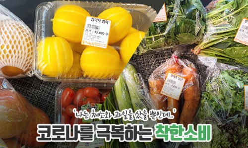 라이프컴퍼니 이미지