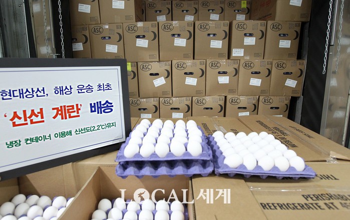 티엔씨 코리아(TNC KOREA) 이미지