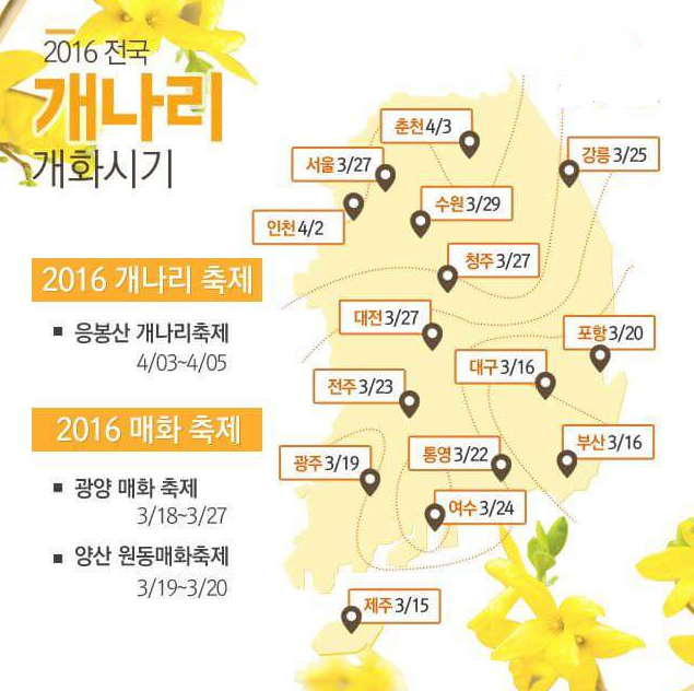 엘린의원 이미지