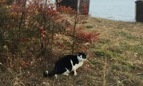 법률사무소형산 이미지