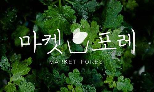 포레포레 이미지