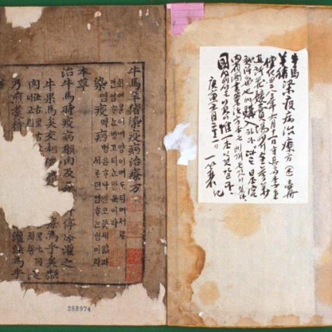 세종의학 이미지