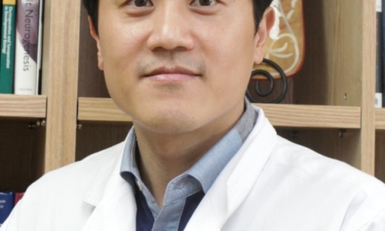 모사개발 이미지