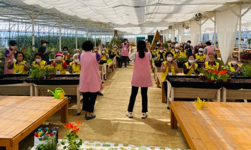 한국메디팜 이미지