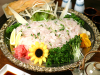 돈본 이미지
