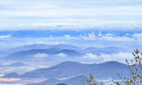 바람K의원 이미지