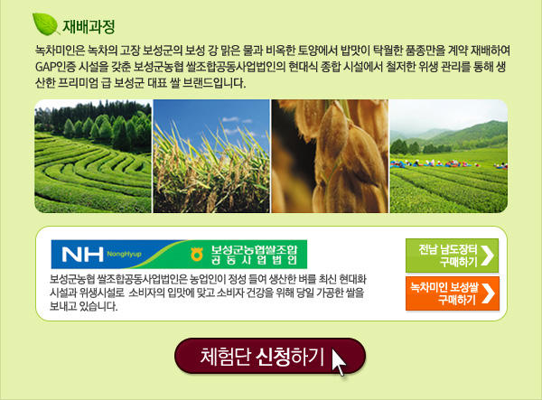 보성녹차미인 이미지