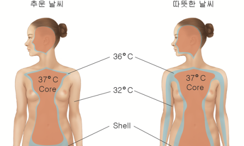 정우의학서적 이미지