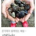 노을빛바다민박 이미지