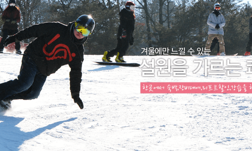 1481샵 이미지