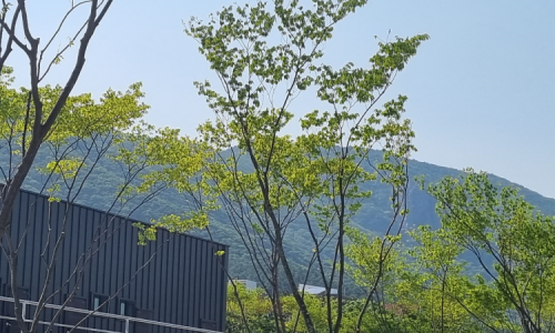 문두리캠핑장 이미지