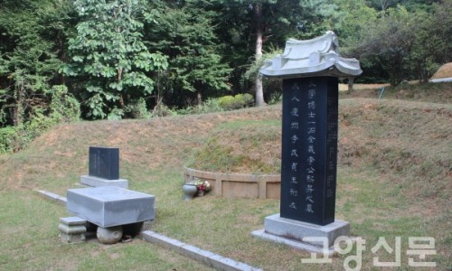 미조명 이미지