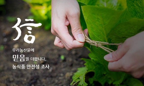 농업회사법인 통 주식회사 이미지