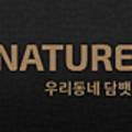 바른담뱃잎 이미지