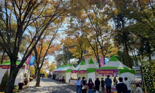국화통신 이미지