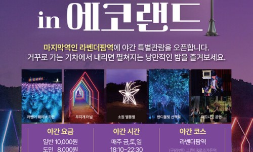 테마인제주 이미지