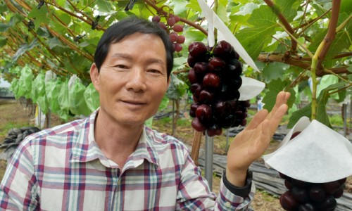 법인알프스농원 이미지