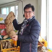 양송이마켓 이미지