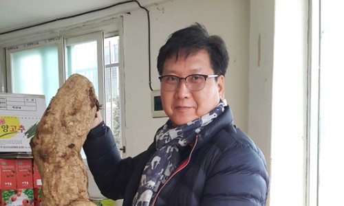 양송이마켓 이미지