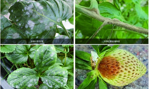 (주)한성건물관리 이미지