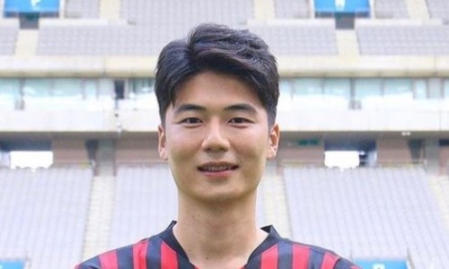 법무법인엘프스 이미지