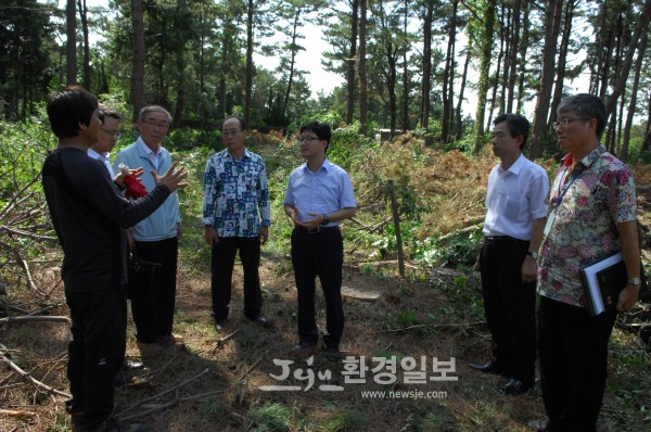 소나무인력개발 이미지