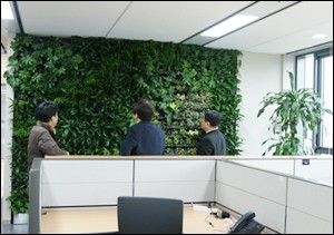 식물2 이미지