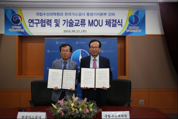 해양가스주 이미지