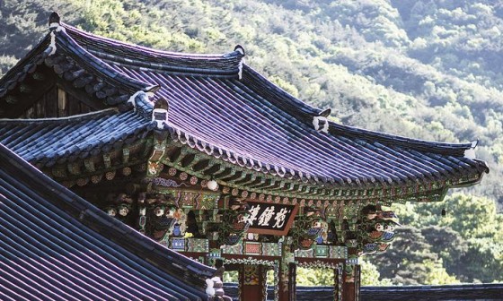 영원환경 이미지
