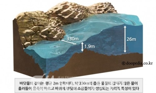 (사)제주역사문화진흥원 이미지