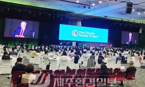 엘포커스 이미지