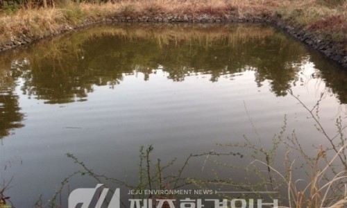 남북급수 이미지