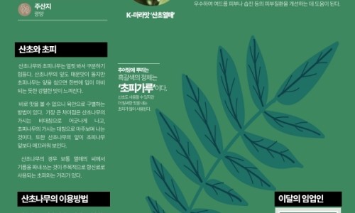 맛선정 이미지
