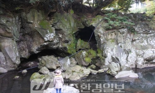샘과 그늘 이미지