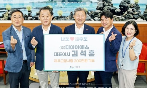 디아이에스 이미지
