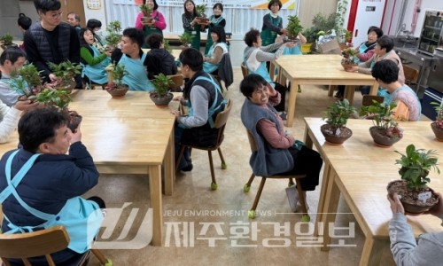 송향원 이미지