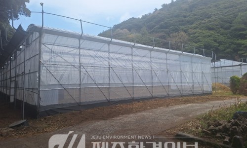 햇살담은농장 이미지